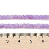 Natural Freshwater Shell Dyed Beads Strands SHEL-R100-11A-04-4