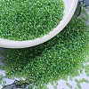MIYUKI Round Rocailles Beads SEED-JP0008-RR0259-1