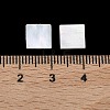 White Shell Cabochons SSHEL-I007-11-5