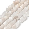 Natural Rainbow Moonstone Beads Strands G-P497-01E-69A-1