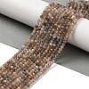 Natural Multi-Moonstone Beads Strands X-G-B074-A08-01-1