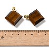 Natural Tiger Eye Perfume Bottle Pendants G-Z039-05G-05-3