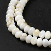 Natural Freshwater Shell Beads Strands BSHE-E026-15A-01-4