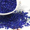 Glass Seed Beads SEED-S042-04B-27-1