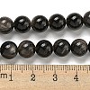 Natural Silver Obsidian Beads Strands G-S150-20A-8mm-5