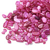 Shell Beads SHEL-R020-03-1