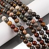 Natural Picture Jasper Beads Strands G-H037-A01-04-2