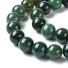 Natural Moss Agate Beads Strands GSR10mmC001-3