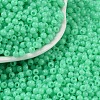 Opaque Acrylic Beads LS-SACR-A007-01B-23-1