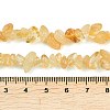 Gemstone Beads Strands F044-4