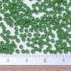 MIYUKI Round Rocailles Beads SEED-X0054-RR0411-4