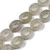 Natural Labradorite Beads Strands G-M439-A05-01-1