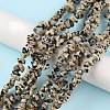 Natural Dalmatian Jasper Beads Strands X-G-G0003-B29-2
