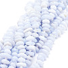 Natural Blue Lace Agate Beads  Strands G-E569-J02-1