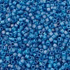 MIYUKI Delica Beads X-SEED-J020-DB0862-3