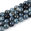 Dyed & Heated Natural Fire Crackle Agate Beads Strands G-N359-01B-03-2