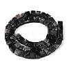 Natural Black Netstone Beads Strands G-T139-6x6-24A-2