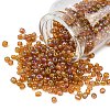6/0 Glass Seed Beads X1-SEED-A007-4mm-162C-1
