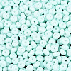 Opaque Glass Seed Beads SEED-N012-09A-06-3