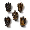 Natural Tiger Eye Pendants G-C095-03P-02-1