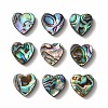 Abalone Shell/Paua Shell Beads SHEL-T005-01-2
