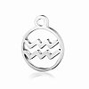 201 Stainless Steel Charms STAS-T014-T505-11-1