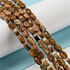 Natural Picture Jasper Beads Strands G-M420-H10-03-2