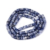 Natural Blue Spot Jasper Beads Strands G-Q606-46A-02-3
