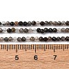 Natural Black Rutilated Quartz Beads Strands G-RM250104-C4-3