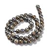 Natural Labradorite Beads Strands G-G723-01C-3