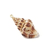 Natural Spiral Shell Pendants PALLOY-JF03316-01-4