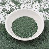 MIYUKI Delica Beads SEED-MY11-DB2312-2