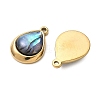 Natural Paua Shell Pendants STAS-G397-22G-02-2