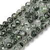 Natural Green Rutilated Quartz Beads Strands G-G0005-C03-1