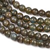 Handmade Lampwork Beads Strand LAMP-B056-8mm-21-4