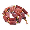 Natural Weathered Agate Beads Strands G-A321-F02-01C-5