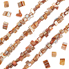4 Strands Dyed Natural Freshwater Shell Beads Strands SHEL-BBC0001-14A-1