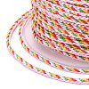 Multi-Color Decorative Braided Nylon Cord NWIR-Z003-E19-3