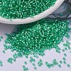 MIYUKI Delica Beads SEED-J020-DB0691-1