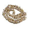 Natural Trochus Shell Beads Strands SSHEL-H072-09-2