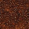 FGB 8/0 Grade A Round Glass Seed Beads SEED-Q006-3mm-F24-2
