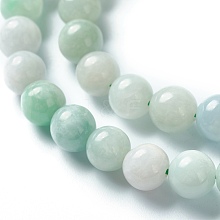 Natural Jadeite Beads Strands G-L568-001B