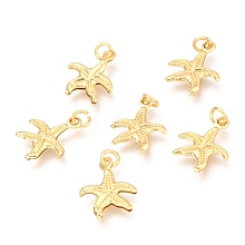 Brass Charms KK-B024-09G