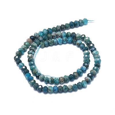 Natural Apatite Beads Strands G-F715-101B-1