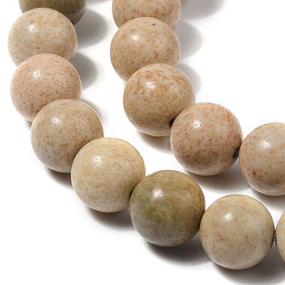 Natural Picture Jasper Beads Strands G-G184-A03-01-1
