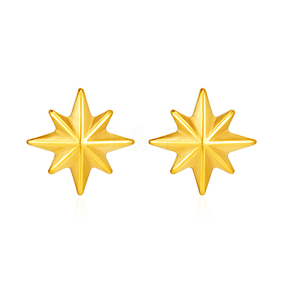 Simple 304 Stainless Steel Geometric Star Stud Earrings YE9764-1
