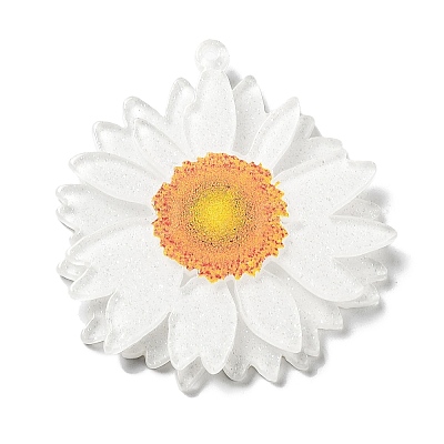 Printed Transparent Acrylic Pendants SACR-P029-B01-1
