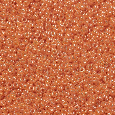 MIYUKI Round Rocailles Beads X-SEED-G009-RR0423-1