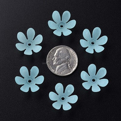 Transparent Acrylic Beads MACR-S373-47-D07-1