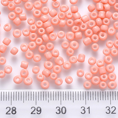 6/0 Baking Paint Glass Round Seed Beads SEED-S036-01C-17-1
